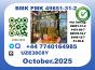B.M.K P.M.K Oil，CAS 49851-31-2