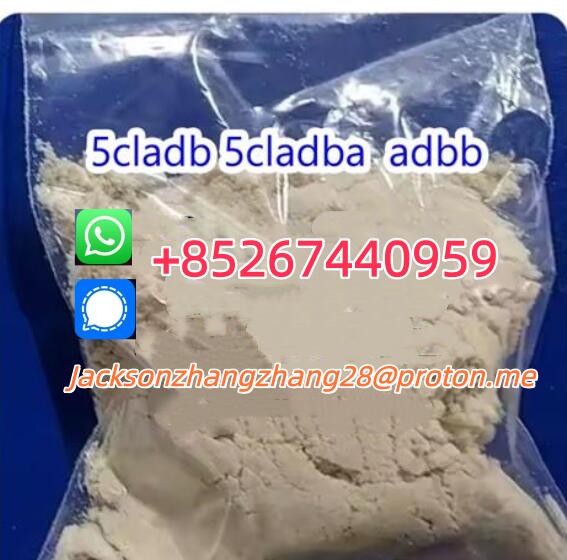 5cladba 5cladba 5cladba Whatsapp/Signal:+85267440959