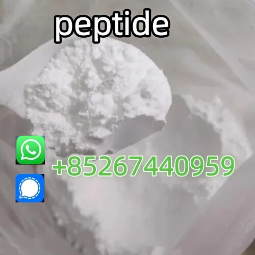 Factory Supply Peptide White Powder Whatsapp/Signal:+85267440959 Factory Supply Peptide White Powder Whatsapp/Signal:+85267440959