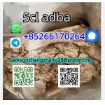 Factory Supply Peptide White Powder Whatsapp/Signal:+85267440959 - Раздел: Товары для офиса, офисные товары