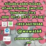 5cladba -  6cladba, 6cl-Adb-A, 5cladba, 5cl-Adb-A Yellow And White Powder, 5F-MDA-19, 7add.