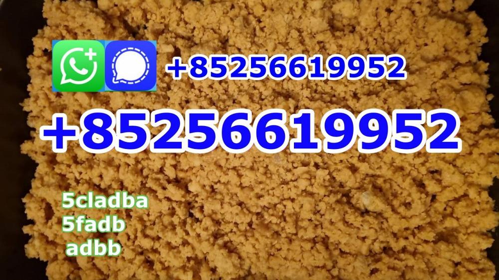 5cladba raw material 5CL-ADB-A precursor raw 5cladba 5f adb 4fadb 5cladba raw material 5CL-ADB-A precursor raw 5cladba 5f adb 4fadb