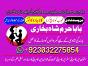 uk black magic & manpasand shadi in lahore, karachi, islamabad & usa - expert amil baba