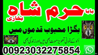 c8 amil baba in australia amil baba in canada amil baba in london amil baba in germany c8 amil baba in australia amil baba in canada amil baba in london amil baba in germany