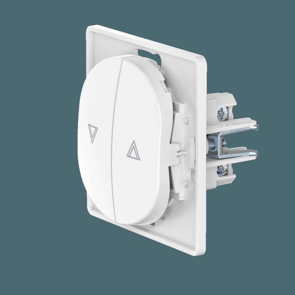 Выключатель скрытой установки CADUCEUS ALING EON, кнопочный, для рольставней, 10А, 250В~, механизм Выключатель скрытой установки CADUCEUS ALING EON, кнопочный, для рольставней, 10А, 250В~, механизм