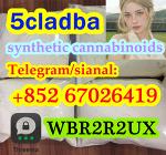 5cladba raw material 5CL-ADB-A precursor raw 5cladba 5f adb 4fadb