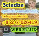 5cladba raw material 5CL-ADB-A precursor raw 5cladba 5f adb 4fadb