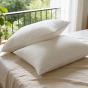 High Quality 100% Cotton Standard Queen and King Size Down Proof Pillow Shell With Piping