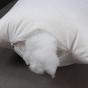 High Quality 100% Cotton Standard Queen and King Size Down Proof Pillow Shell With Piping