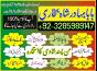 online amil baba in pakistan, kala jadu expert pakistan, black magic specialist us, amil amilbaba