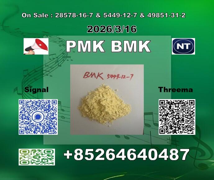 New P M K 28578-16-7 1369021-80-6 /B M K 5449-12-7