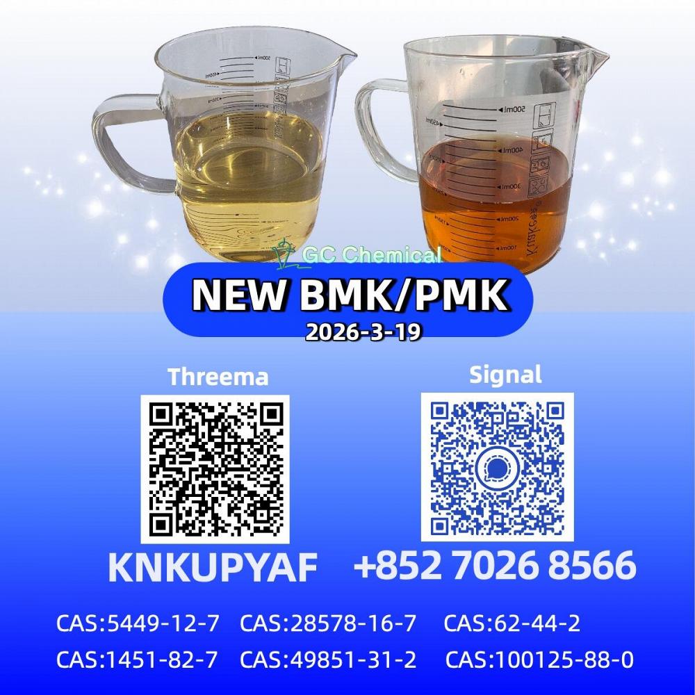28578-16-7 Best Price P.MK B.MK Powder Oil CAS 5449-12-7