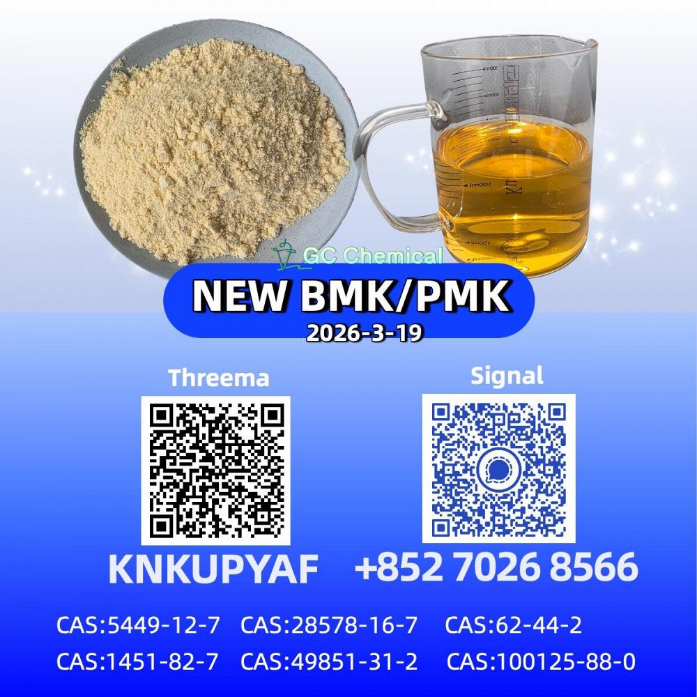 P.MK Powder | CAS 28578-16-7 Fast Shipping| 5449-12-7 B.MK