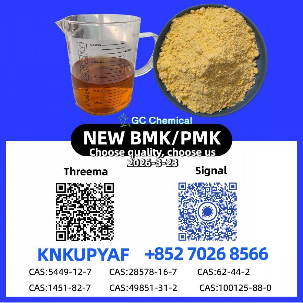 Bulk Stock 28578-16-7 P.M.K CAS 5449-12-7 New B..M.K Powder Oil