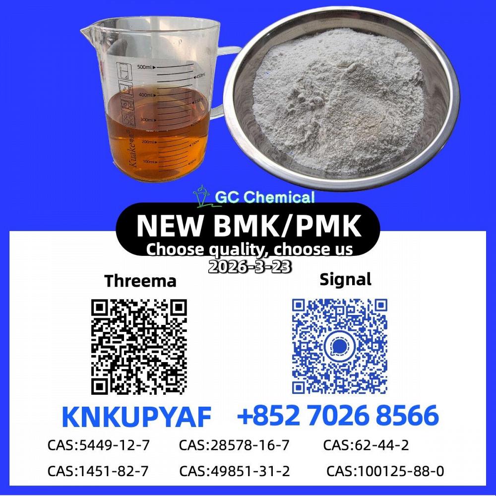 Stock Supply 28578-16-7 P.M.K B.M.K CAS 5449-12-7 New Powder/Oil