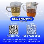 28578-16-7 Best Price P.MK B.MK Powder Oil CAS 5449-12-7