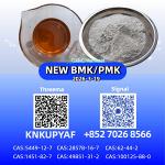 28578-16-7 In Stock P.MK B.MK Powder/Oil CAS 5449-12-7