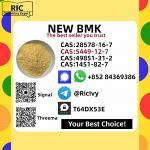 5449-12-7 New B.MK Glycidic Acid Powder