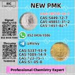 China Reliable Supplier PM.K CAS 28578-16 -7 - Раздел: Инструмент оптом, новый инструмент
