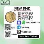 Master-Grade Bulk Supply 1451-82-7 B.MK 5449-12-7 With PMK 28578-16-7