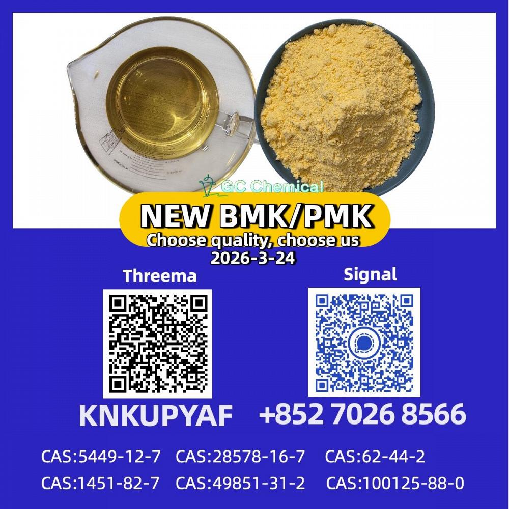 28578-16-7 B.MK Powder 5449-12-7 99% Pure and New PM.K