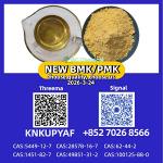 28578-16-7 B.MK Powder 5449-12-7 99% Pure and New PM.K