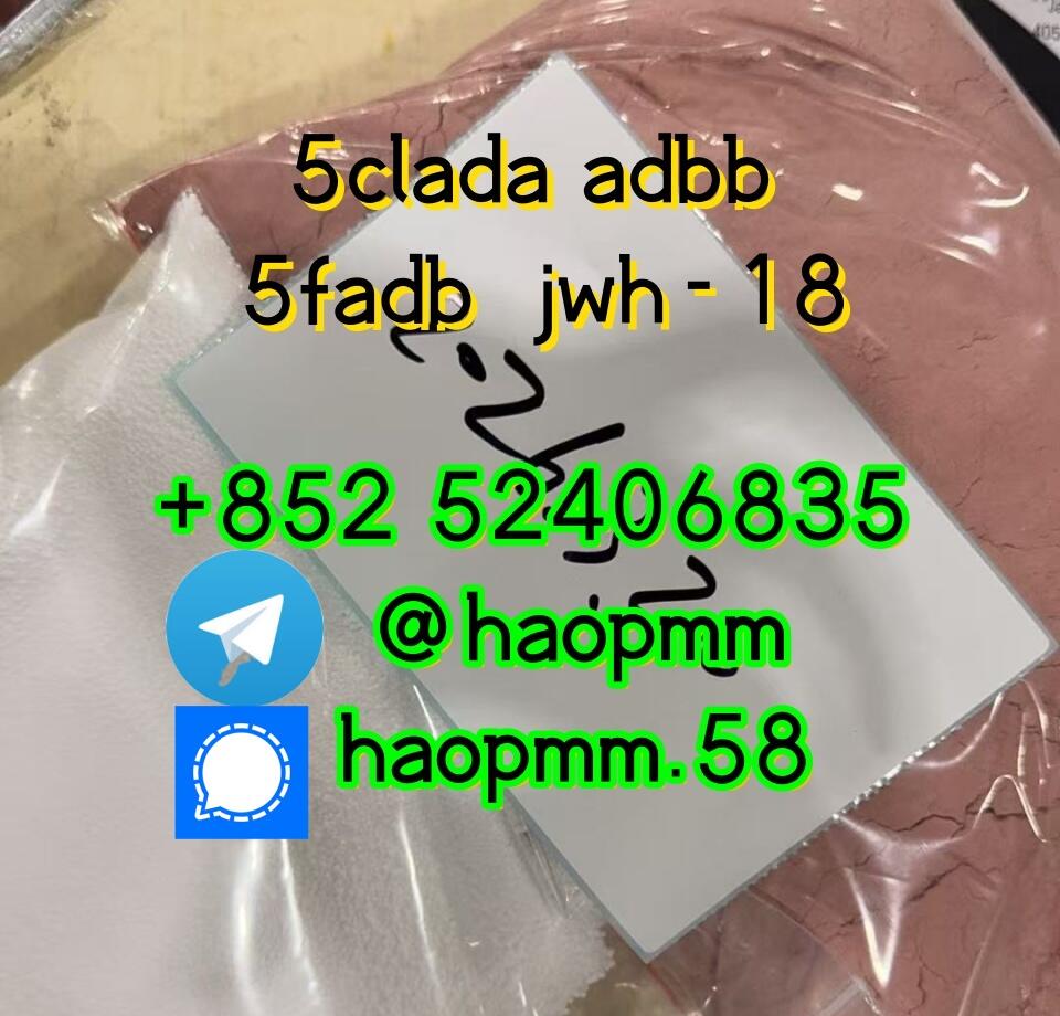 free sample Product5cl-adb Powder 5cladba 5cl Raw Materials cas 137350-66-4