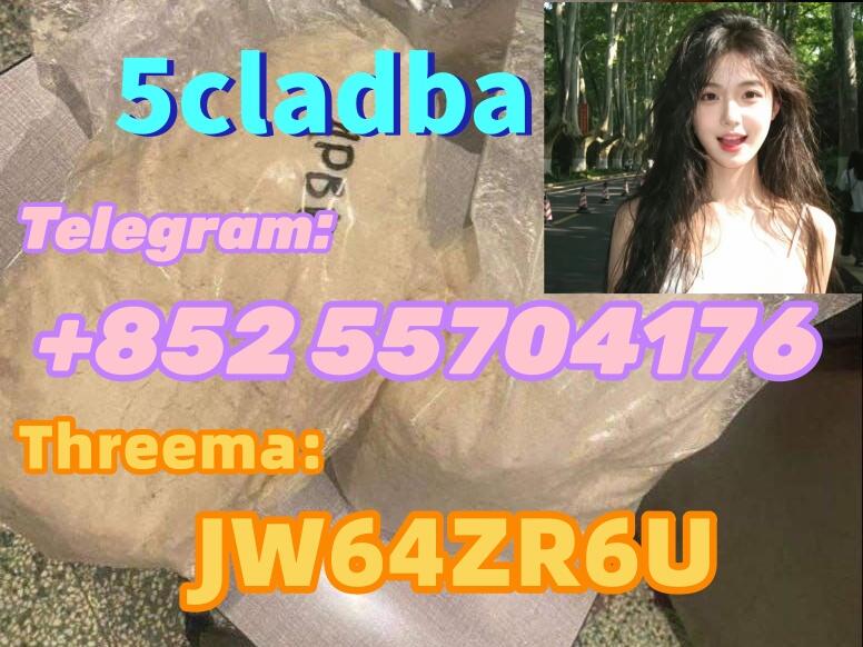 Premium 5CLADBA Precursor & Raw Material Supplier
