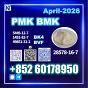 CAS 28578-16-7 New PM.K Latest Batch