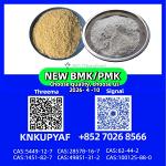 CAS 28578-16-7 and BM.K 5449-12-7 ready