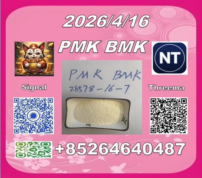 safe delivery P.MK 28578-16-7 and B.MK 5449-12-7