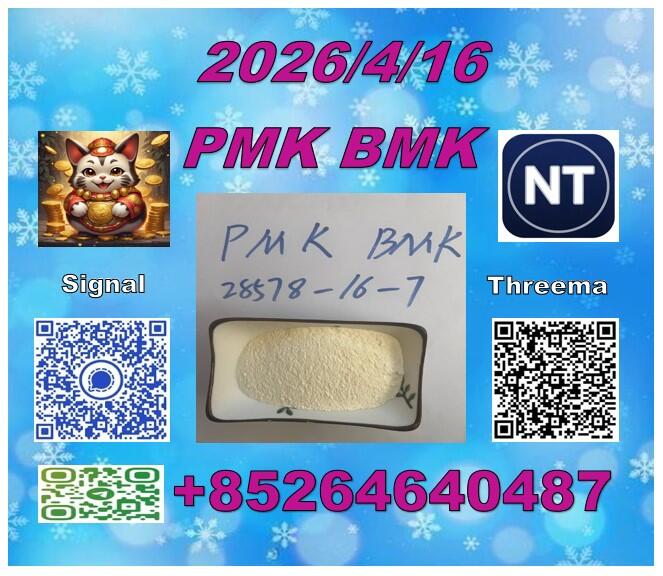 China supply Pm.k 28578-16-7 and BM-K 5449-12-7