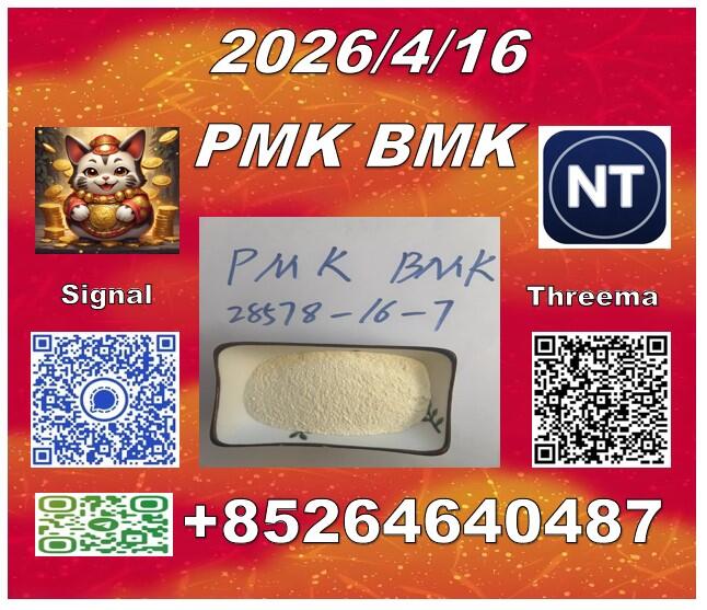 Sell P.mk 28578-16-7 and B.mk 5449-12-7