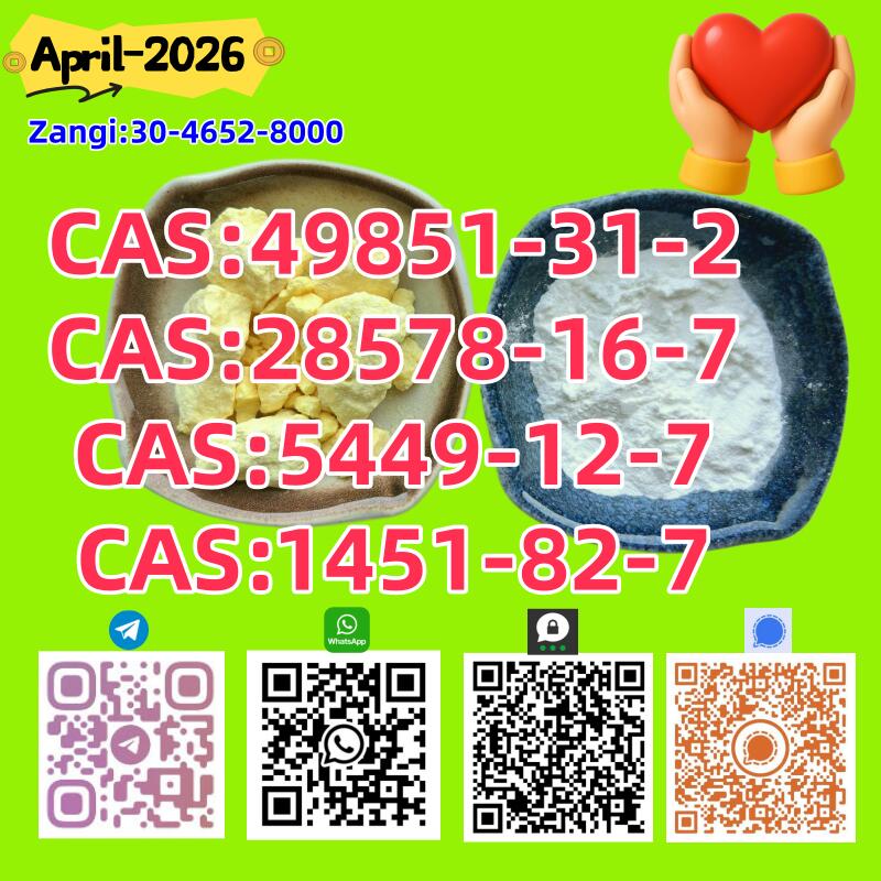 Premium quality product CAS 28578-16-7 PM.K Ethyl Glycidate