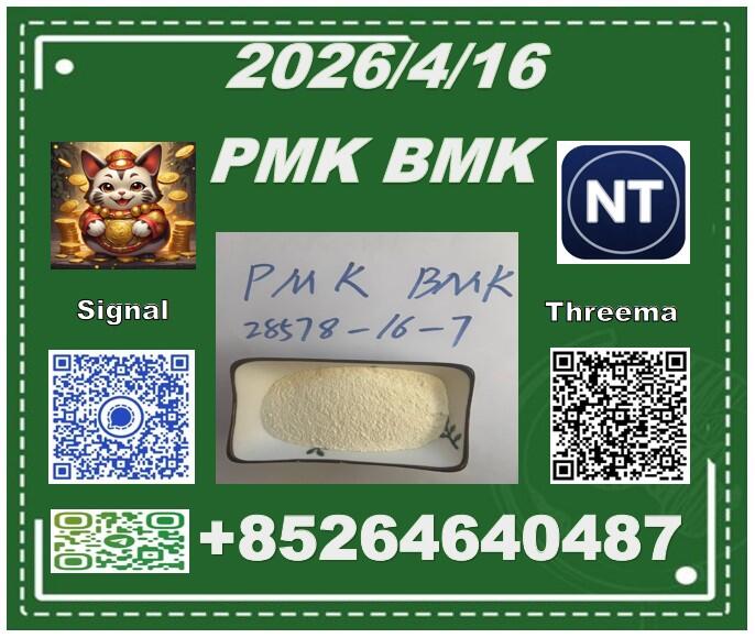 Good service PM.K 28578-16-7 and BM-K 5449-12-7 Best price / 49851-31-2