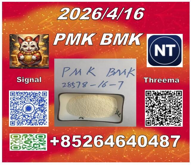 Low price P.MK 28578-16-7 and B.MK 5449-12-7 /49851-31-2