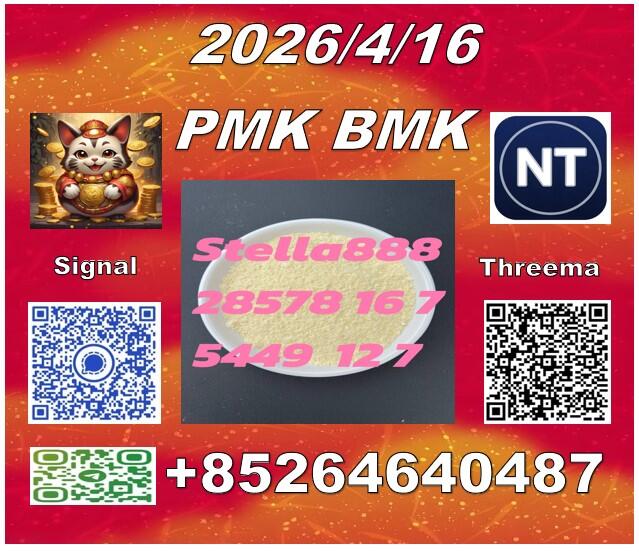 Low price P.MK 28578-16-7and BM-K 5449-12-7/49851-31-2