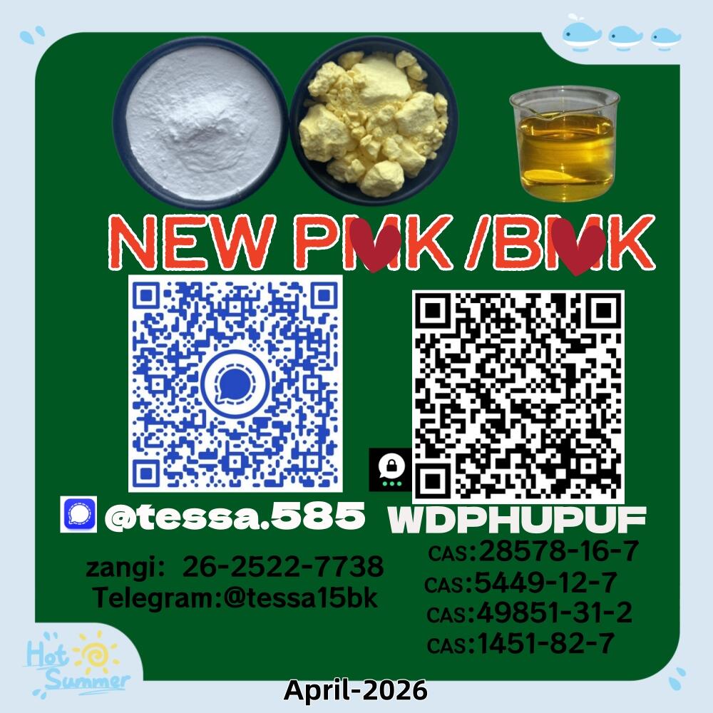 CAS5449-12-7 BMK Glycidic Acid (sodium salt) with high purity