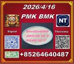 Long-term supply avaliable CAS 5449-12-7 BM.K 28578-16-7 PM.K