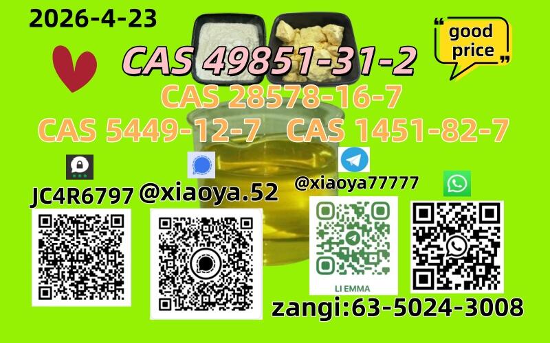 NEW BMK/PMK CAS 49851-31-2 CAS 28578-16-7In Stock