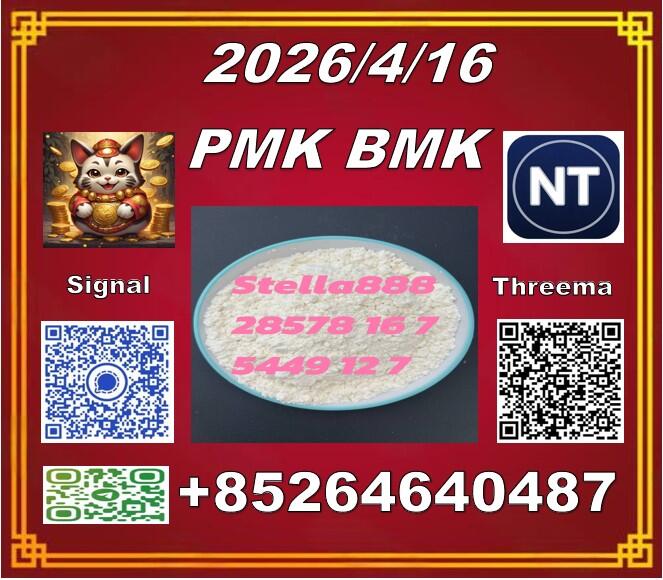 Supply from Stock Cas 28578-16 -7 P.M.K and CAS5449-12-7 BM.K /49851-31-2