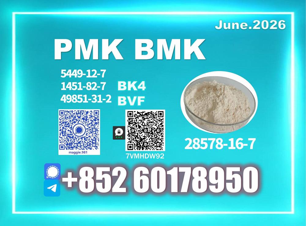 New PMK 28578-16-7 Supplier with Stable Output