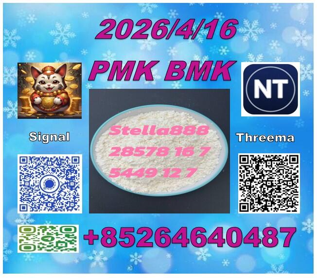 Low price P.MK cas 28578-16-7 and B.MK 5449-12-7 /49851-31-2