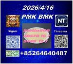Hot selling PM.K cas28578-16-7 and BM.K cas5449-12-7/49851-31-2