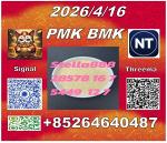 Fast shipping cas28578-16-7PM.K and BM.K cas5449-12-7/49851-31-2 - Раздел: Торговля - интернет магазины