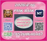 Best quality PM.K 28578-16-7 BM.K 5449-12-7/49851-31-2