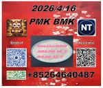 Supply of new products P.MK CAS 28578-16-7 PM.K Ethyl Glycidate