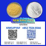 PM.K CAS 28578-16-7 integrated with BM.K CAS 5449-12-7 inventory