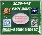Premium quality product cas 28578-16-7 PM.K Ethyl Glycidate and CAS5449-12-7 BM.K
