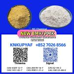 BMK CAS 5449-12-7 alongside PMK CAS 28578-16-7